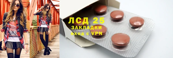 мдпв Новозыбков