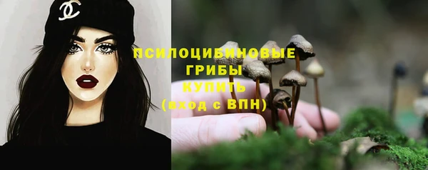 apvp Всеволожск