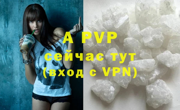 мдпв Новозыбков