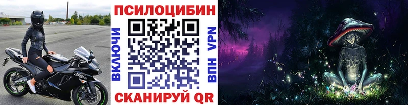 mega ссылка  Шарыпово  Псилоцибиновые грибы Cubensis  где купить наркотик 