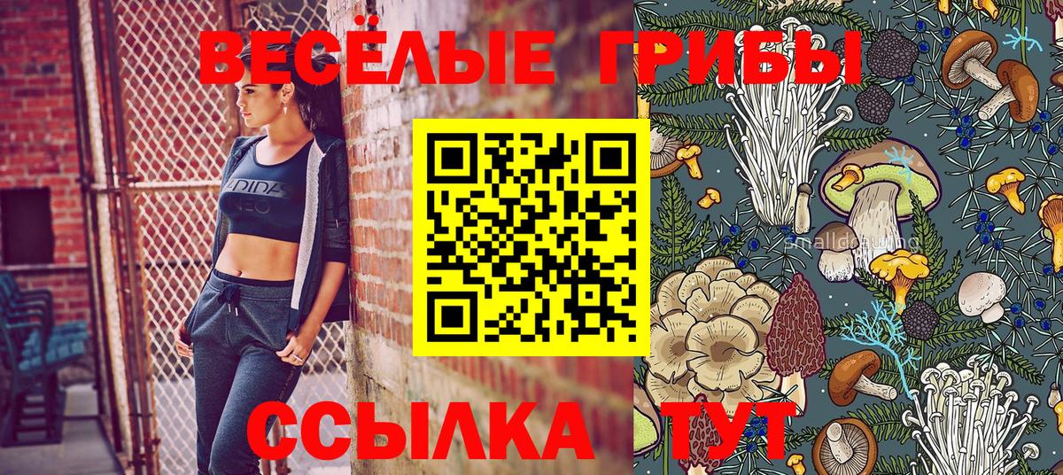 Псилоцибиновые грибы ЛСД  Шарыпово 