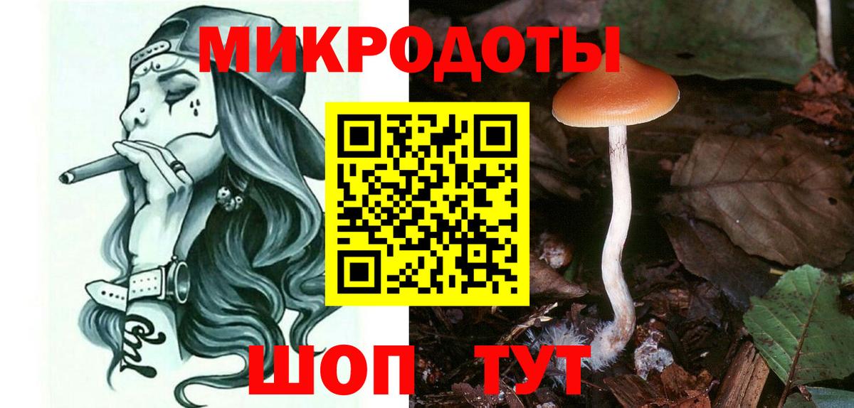 Шарыпово  Псилоцибиновые грибы MAGIC MUSHROOMS  Вход с VPN 